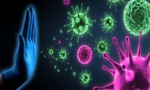 Becoming an Infection Preventionist